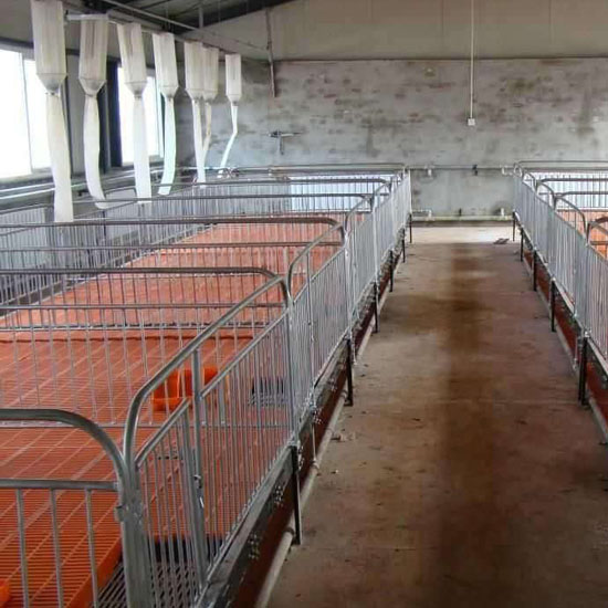 Pig Nursery pen