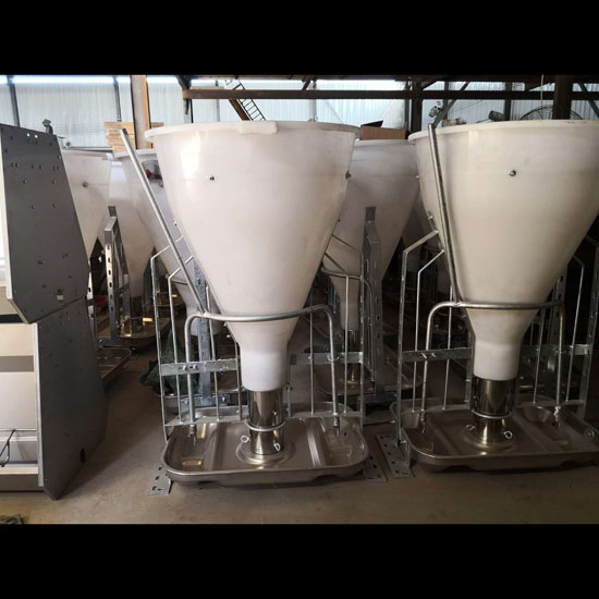 pig feeder