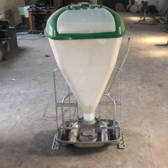 pig feeder
