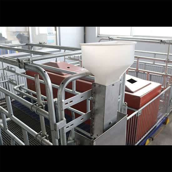 Stainless stee sow feeder