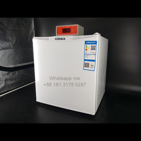 AI Refrigerator