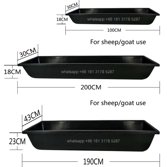 sheep feeding trough